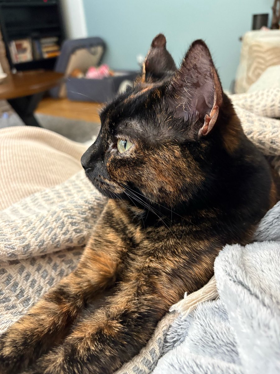 Loulou27 tweet media