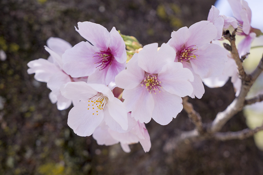 𝓟𝓻𝓲𝓷𝓬𝓮𝓼𝓼 tweet media