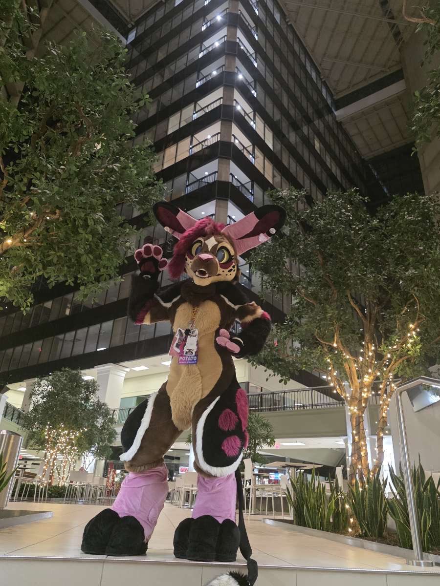 ✨Robotic Creature✨@TFF26 tweet media