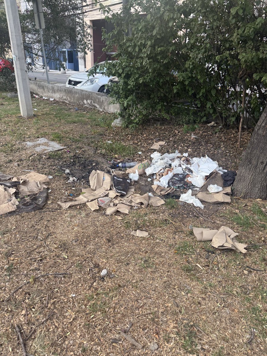 catabuchanan's tweet photo. @ChapultepecCDMX @natushuren @AlcaldiaMHmx @SEDEMA_CDMX asi luce el parque libano en Polanco, ubicado entre Reforma y Campos Eliseos. Exigimos limpieza y mantenimiento constante. El Bosque de Chap no se ha ocupado de este parque en 6 años! https://t.co/5a518zBqLM