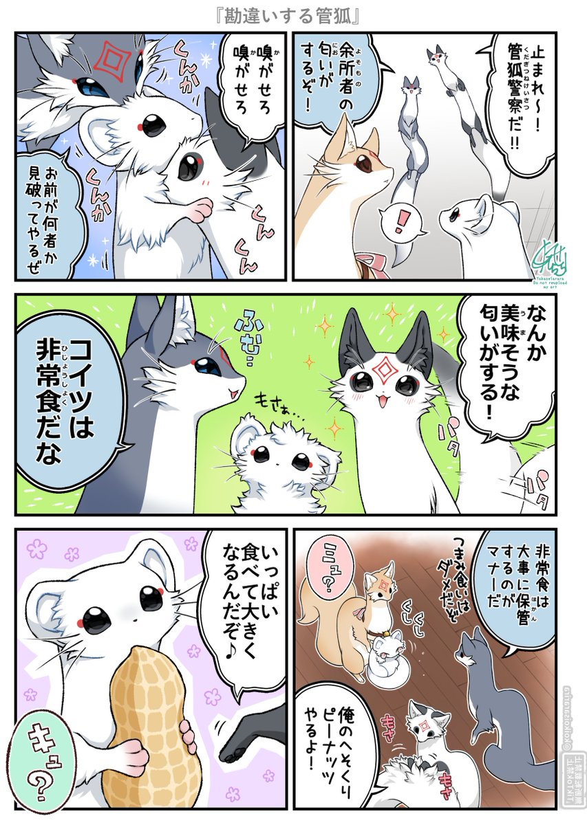 夜風さらら🦊管狐のモナカ✨発売中‼️ tweet media