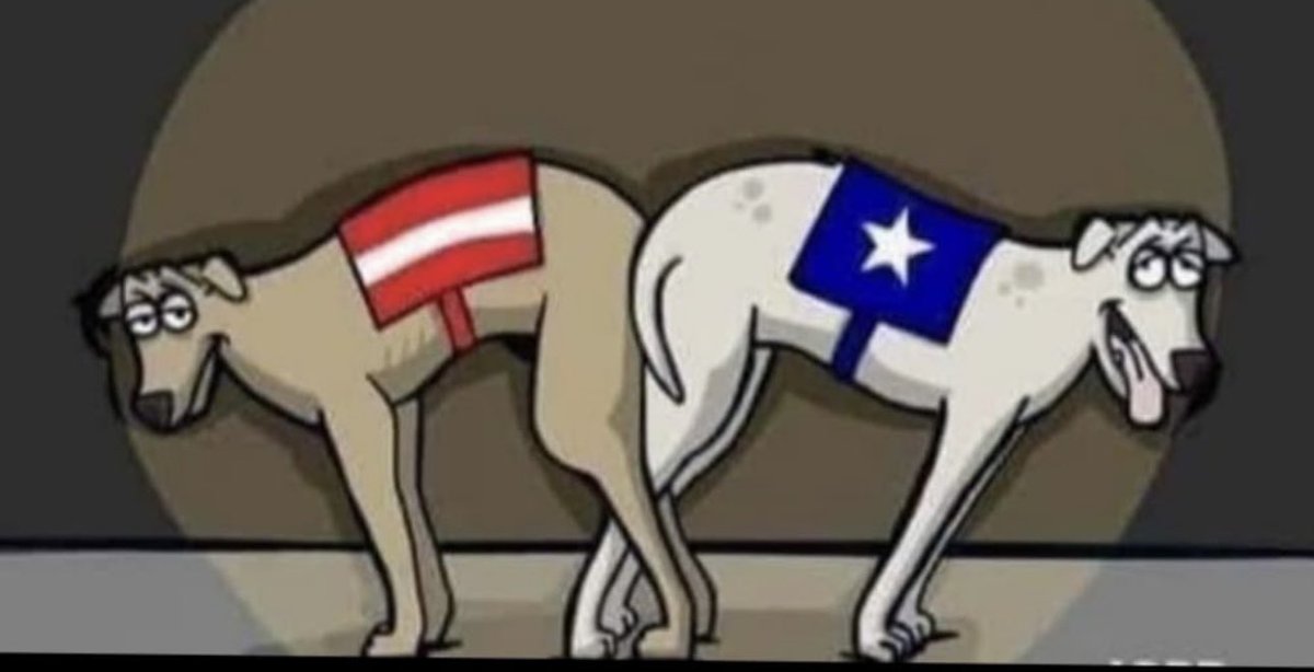 Allan Martínez tweet media