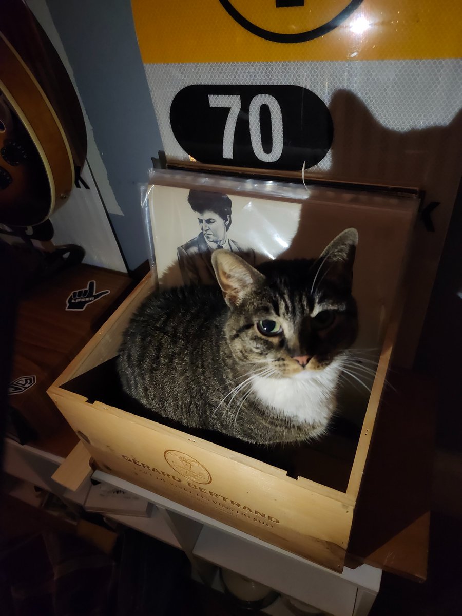 do u think she fw glenn branca or just the box