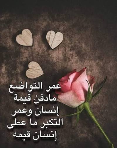 الغنيم عادل tweet media