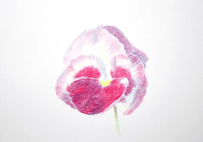 ←これが →こうなる (色鉛筆)