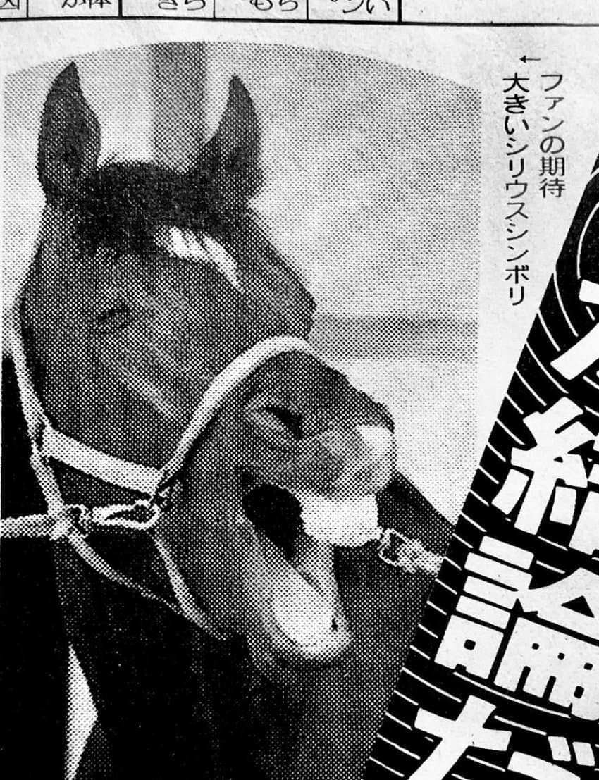 시리우스 심볼리의 비밀 ③
사실은 이빨을 보이며 활짝 웃을 수 있다.