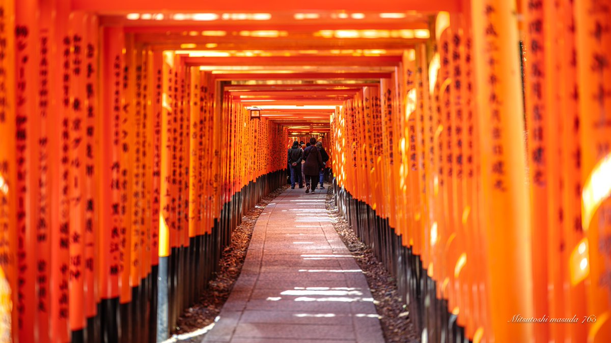 mm765【なむこ】-増田光俊- tweet media