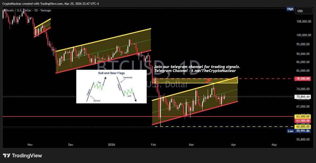 Crypto Nuclear tweet media
