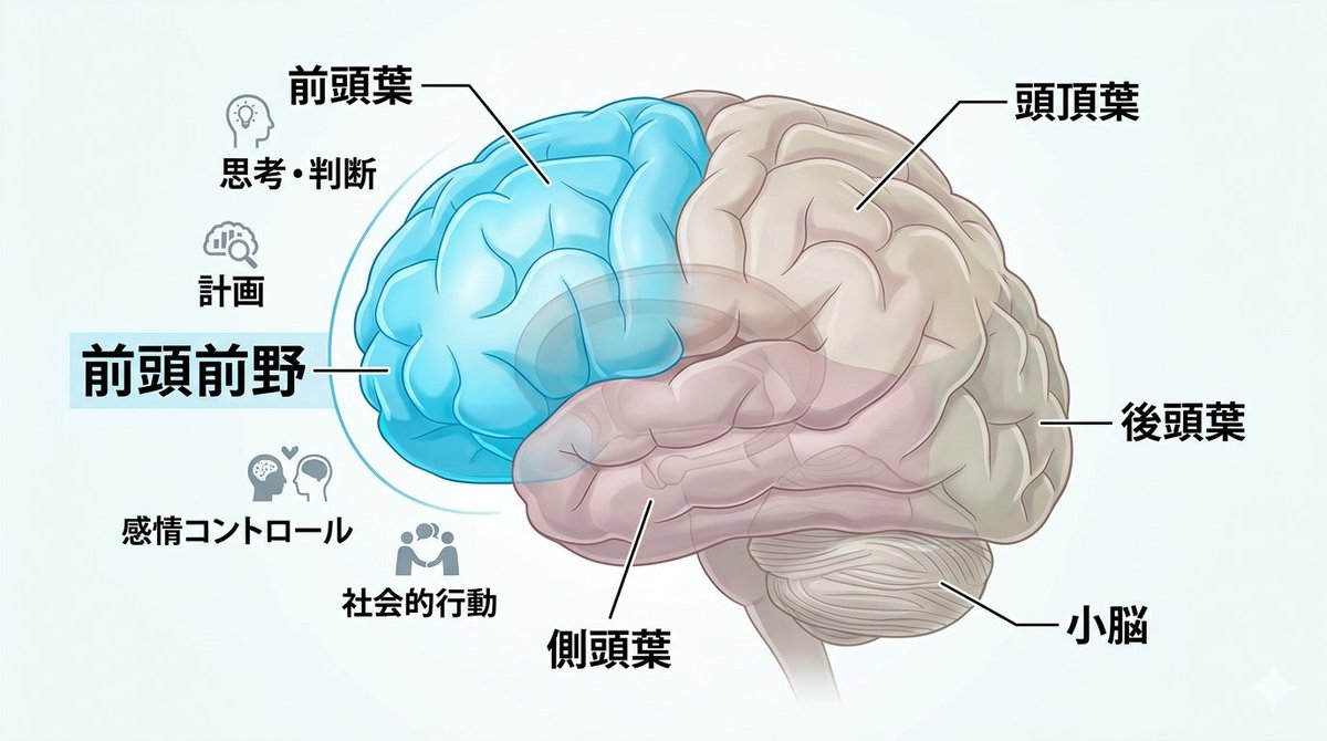 山田 悠史 | 『最新科学が覆す 体にいいのはどっち』 tweet media