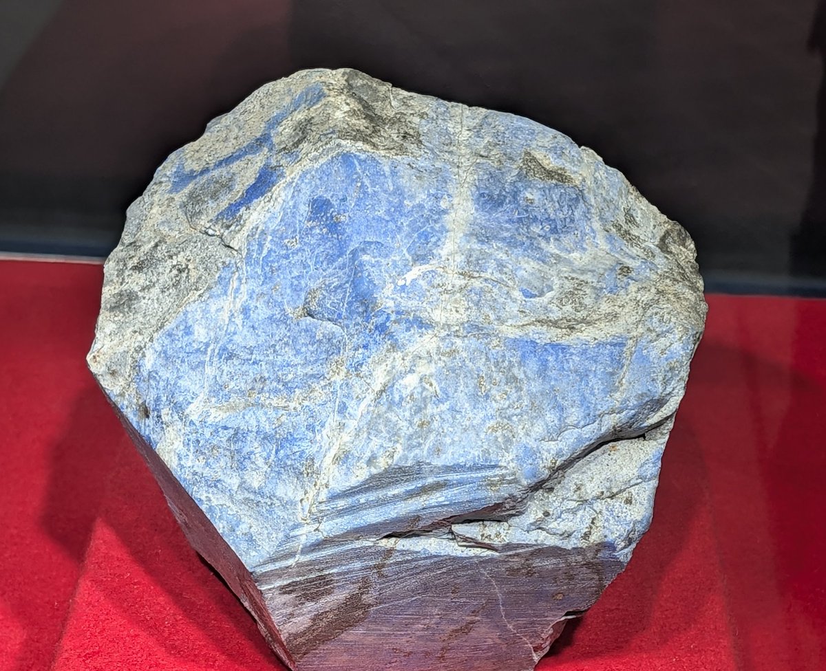 Shirainu tweet media