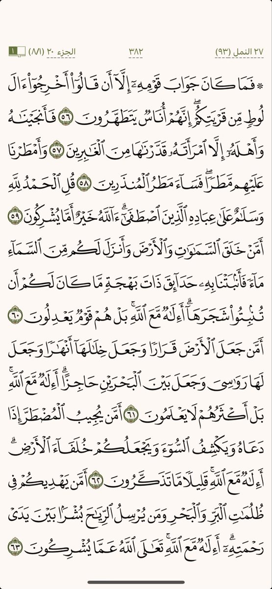 كل يوم صفحة tweet media