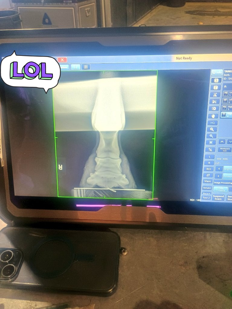 Platzologist tweet media