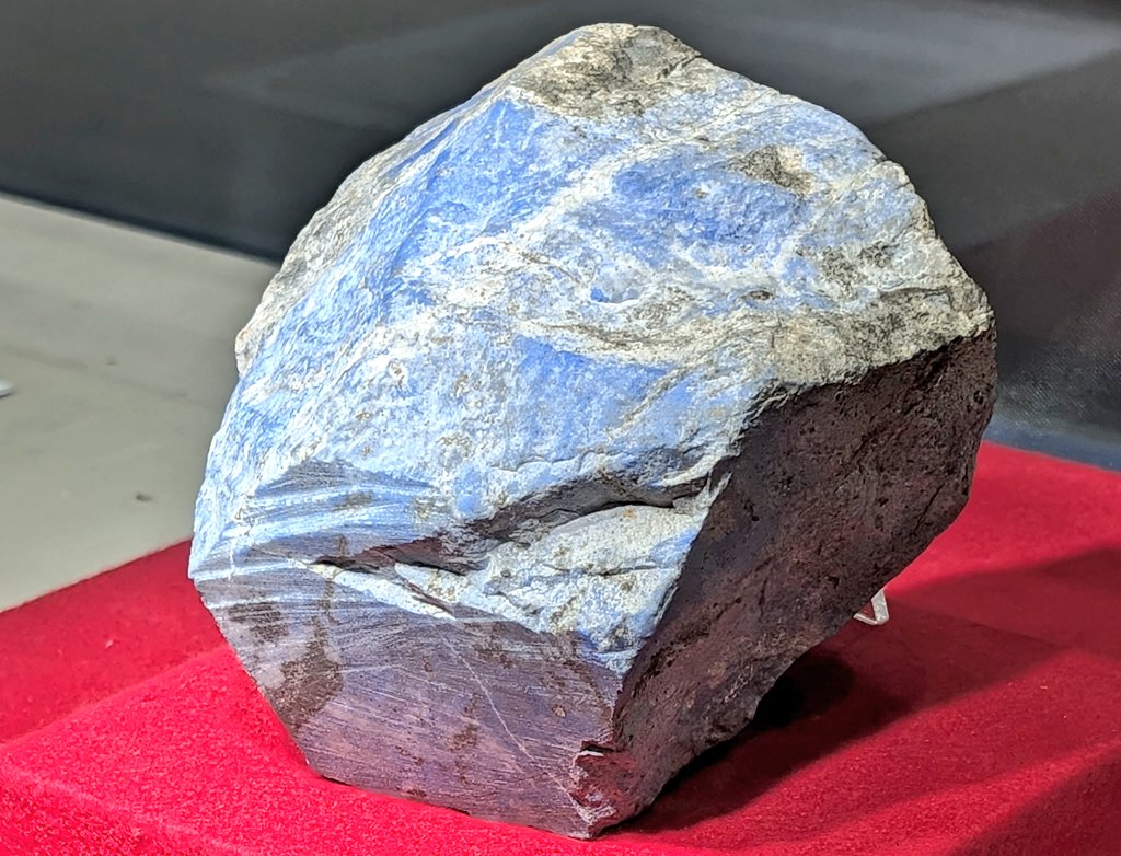 Shirainu tweet media