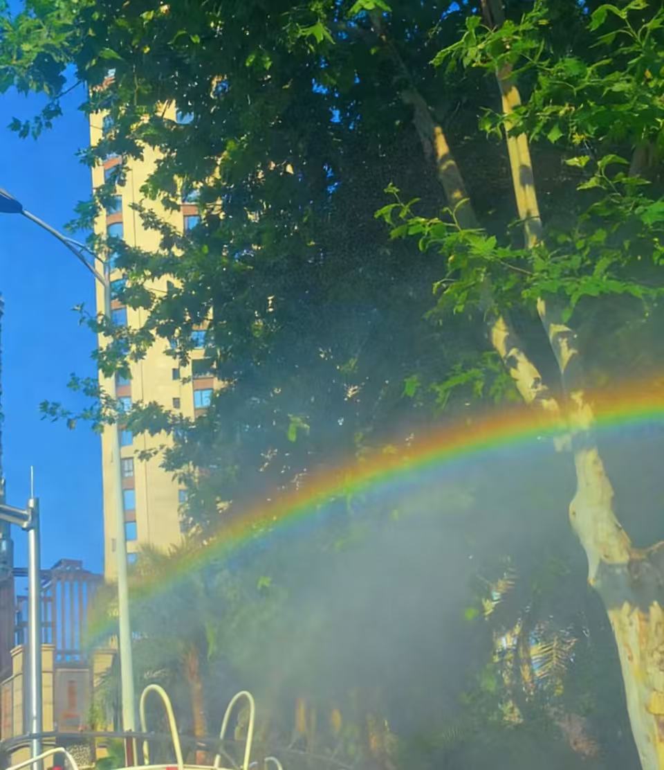 2985tiyu tweet media