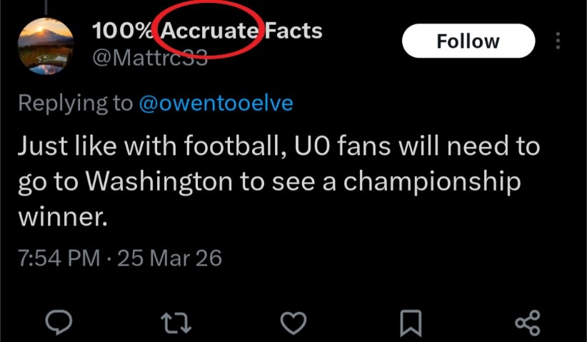 Owen Tooelve tweet media