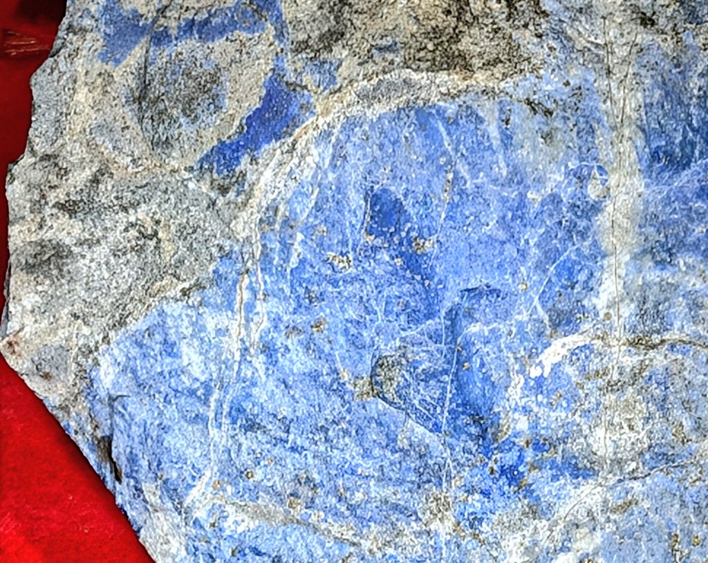 Shirainu tweet media