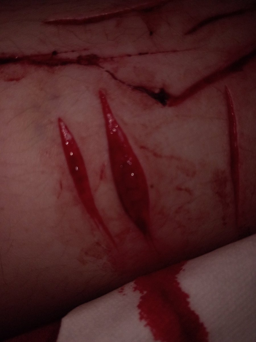 ⃝⃝⃝ tweet media