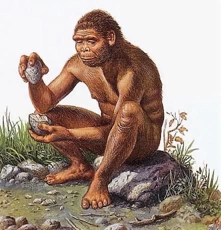 𐬺𐬻❁𝓡𝓪𝓲𝓷𝓮❁𐬻𐬺 tweet media