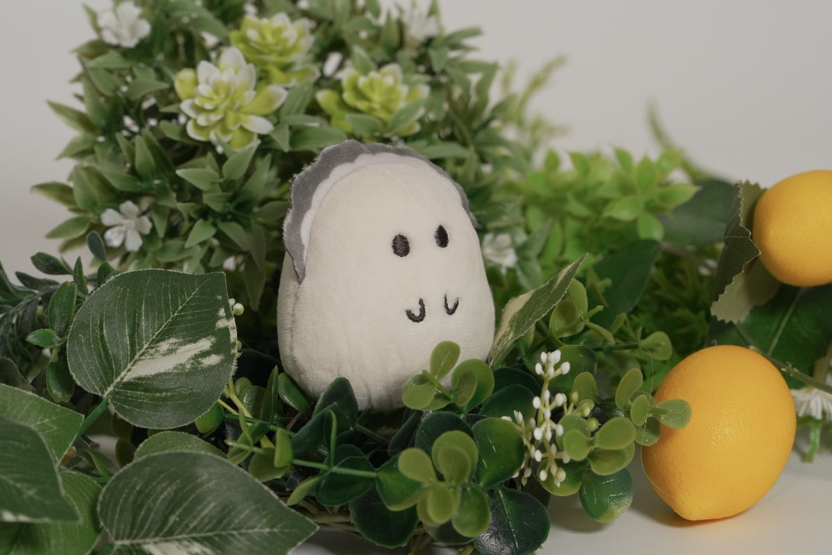 れれれ🦪 tweet media