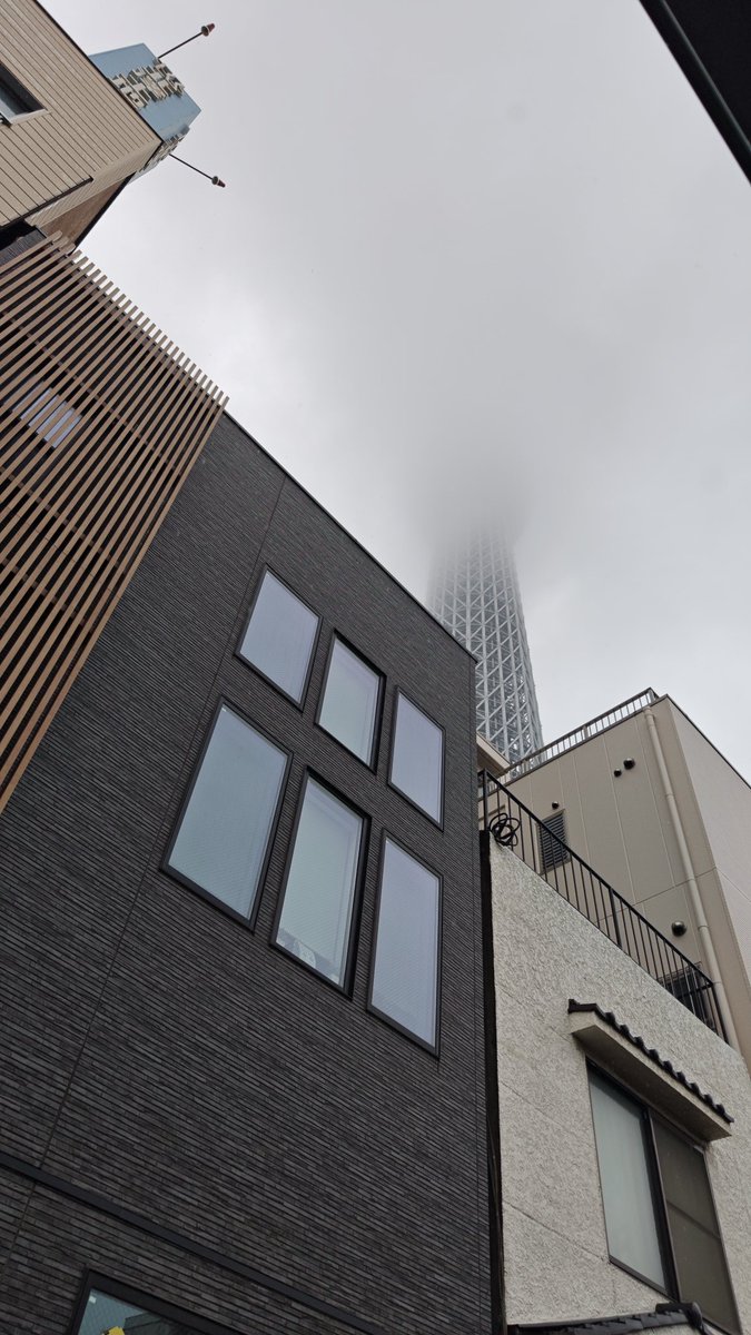 Tokyo Speed ⚖️巨人軍ファン🌸🐀🌽🦊 tweet media