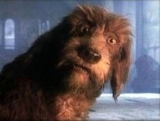 Raul Castagneto tweet media