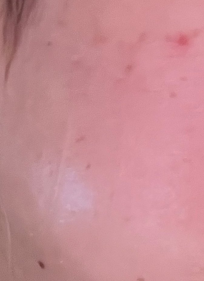 치에チエ tweet media