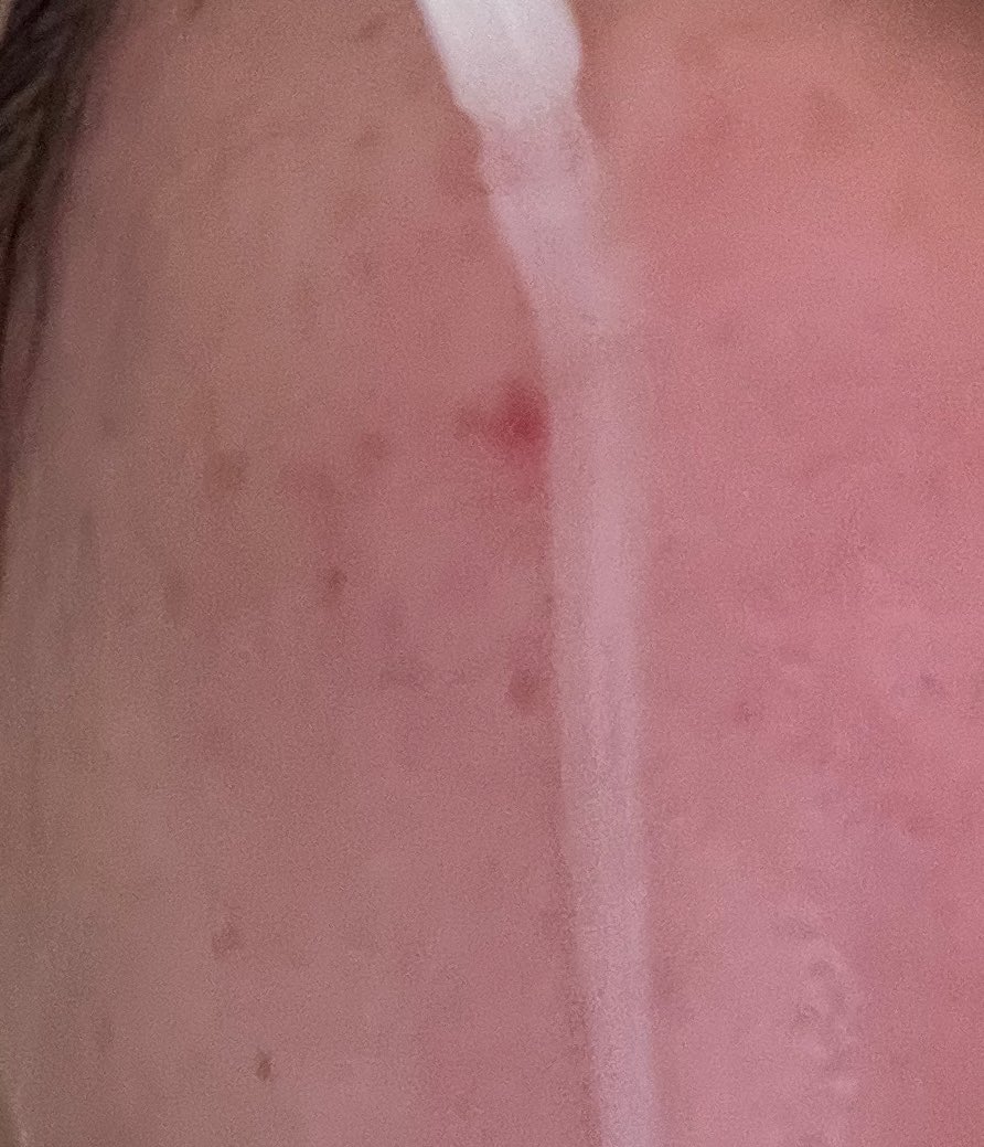 치에チエ tweet media