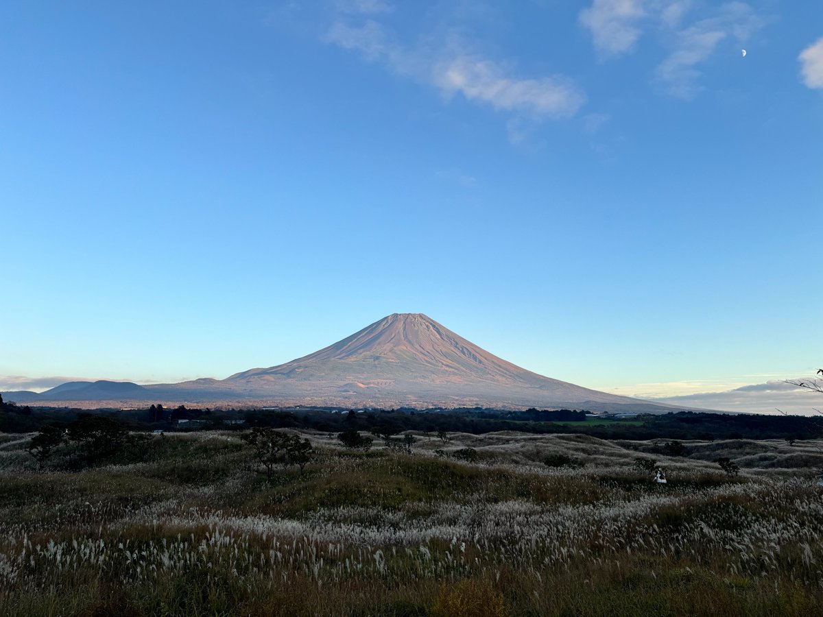 コスナビ tweet media