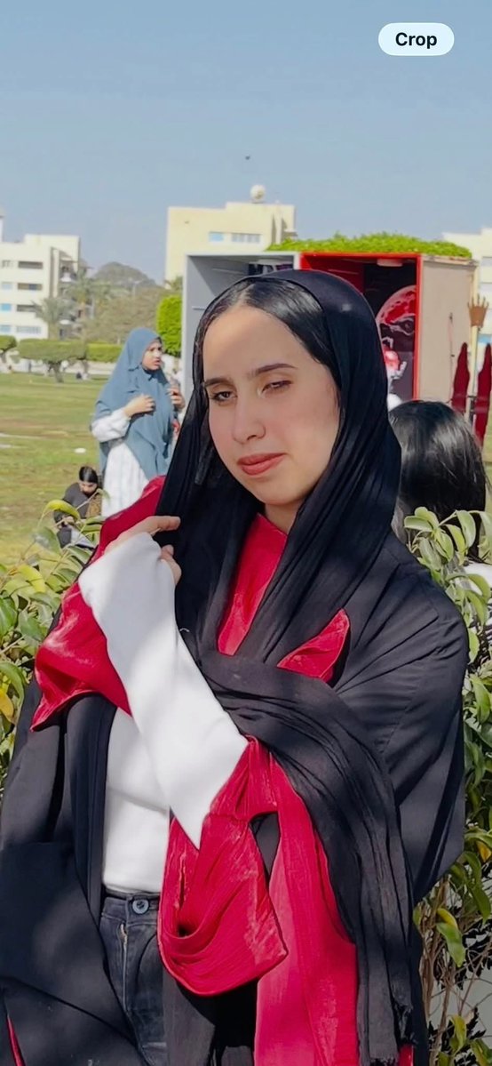 اسكندرية - Alexandria tweet media