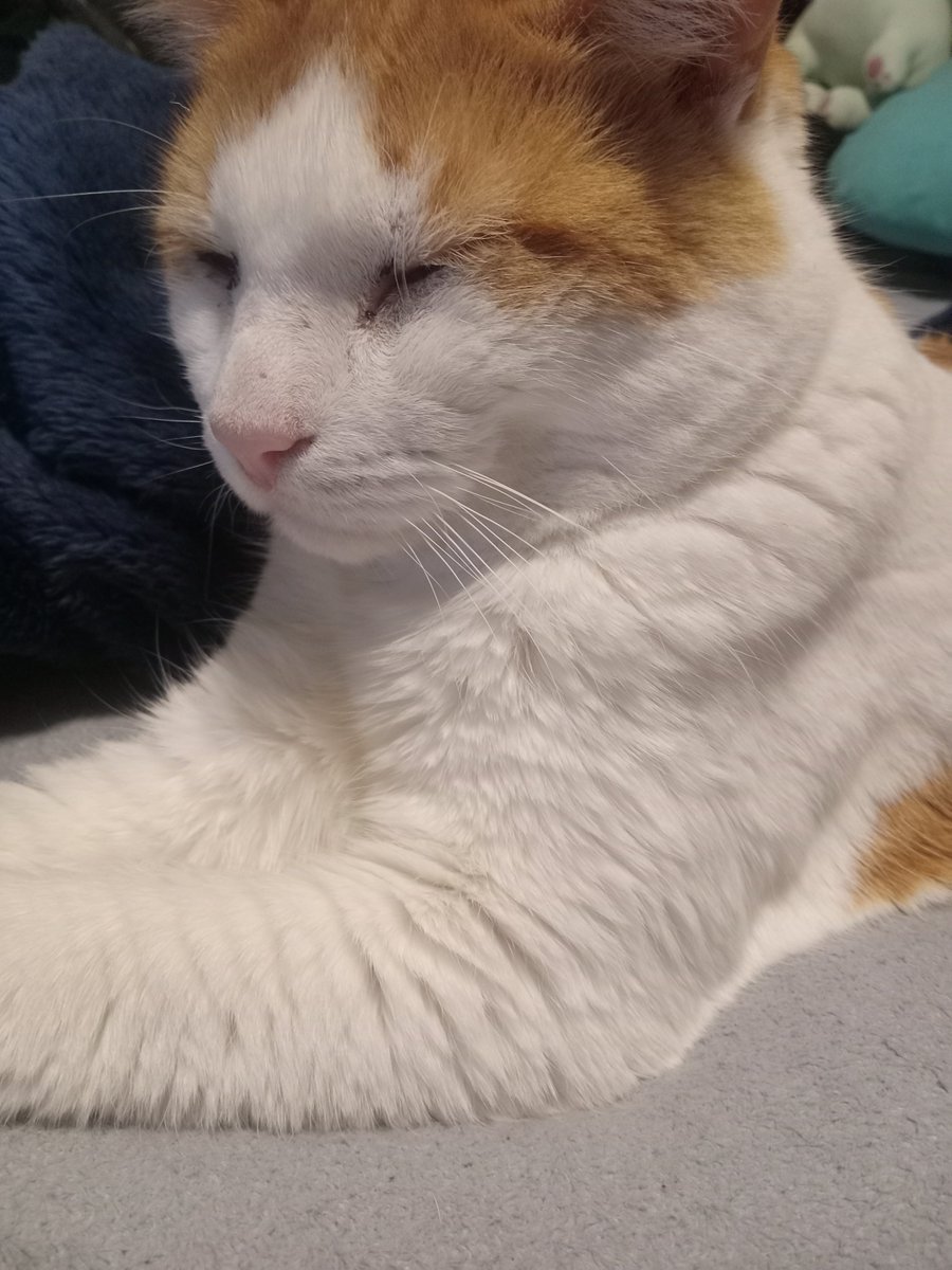 David Lopez 🇺🇸 tweet media