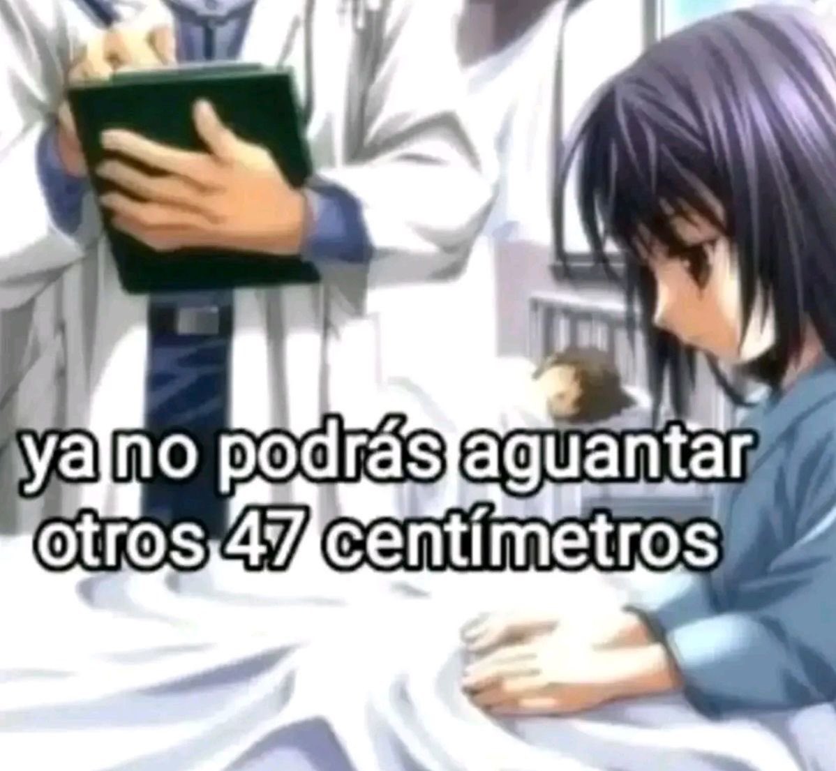 Zansán 🍂 tweet media