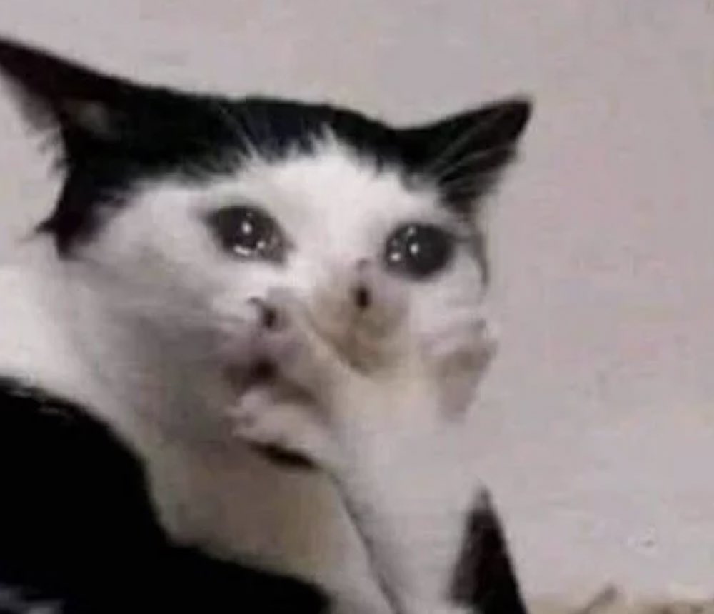 peterose the kids miss you tweet media