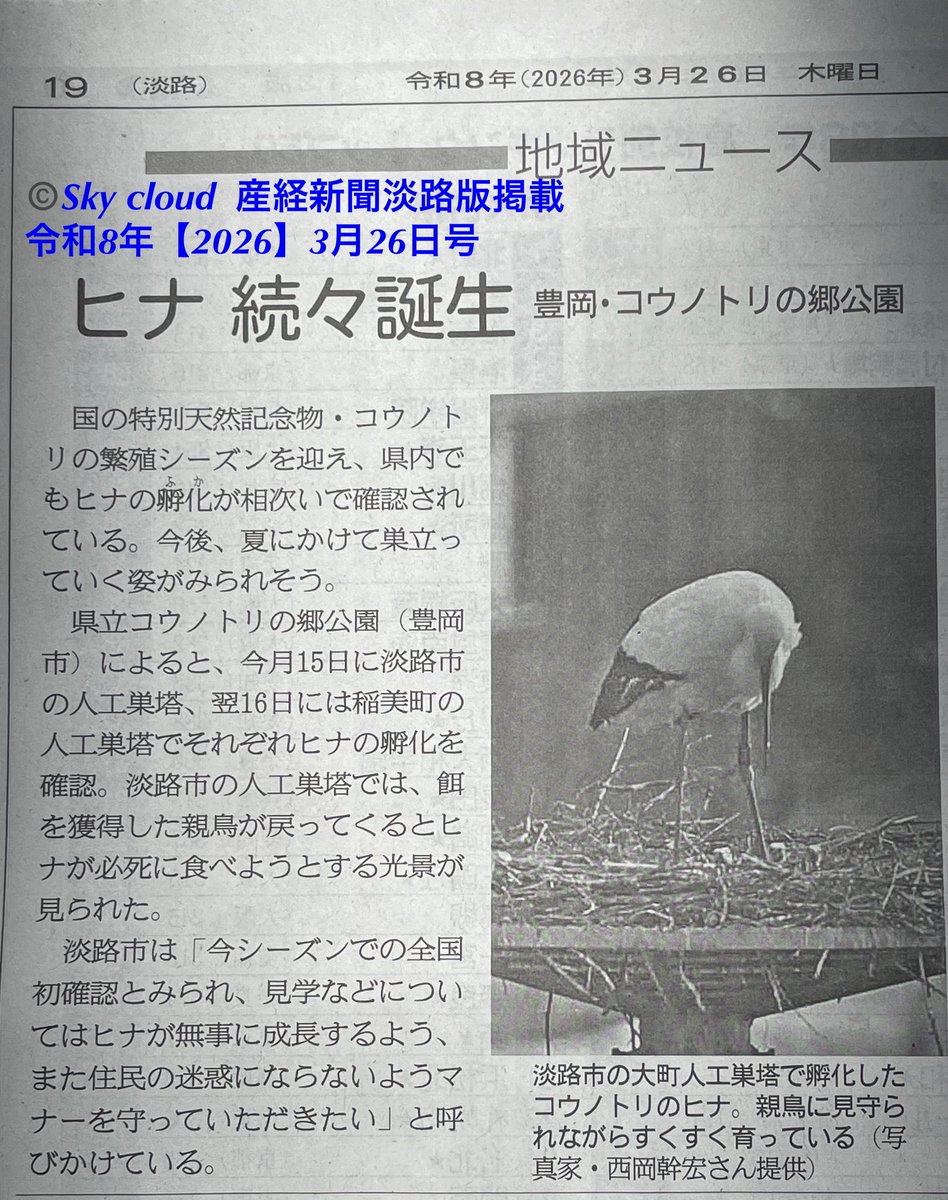 blue2impulse3's tweet photo. #産経新聞淡路版写真掲載頂きました‼️
【#令和8年3月26日号】 
#産経新聞　#朝刊　#サンケイ
#産経新聞淡路版
#2026年3月26日号
#淡路ペア【#J0350♀ #J0200♂】
#コウノトリ🐧 
#絶滅危惧種ＩA類【#EN】→#絶滅危惧種ＩB類 へ【#第５次レッドリスト】2026/03/18 #ランクダウン
✈︎✈︎✈︎✈︎
久しぶりの投稿は
昨日夜半にあった地震で
安否を心配でお問い合わせ頂きありがとうございます。
被災や怪我もありません。
✈︎✈︎✈︎✈︎
#感動の一瞬にシャッター押せる余裕‼️
#一瞬の感動を感じる五感を磨け
#インパクトは一瞬の判断
#孤高の信念と美学
#更なる高みへ
#空は繋がってます‼️ 
#青空の下で会いましょう。
#NFCデジタル名刺で簡単ピッであなたのスマホに
✈︎✈︎✈︎✈︎

Sky cloud-2025_r8  POST No.0023
2026/03/26 12:00