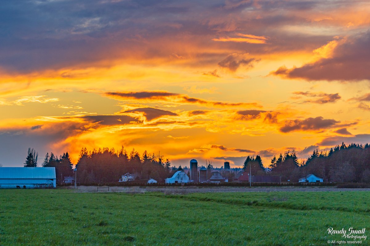 RandySmall's tweet image. Orange hues tonight at sunset.
Lynden, WA

March 25, 2026
#whatcomcounty #sunset #pnw
