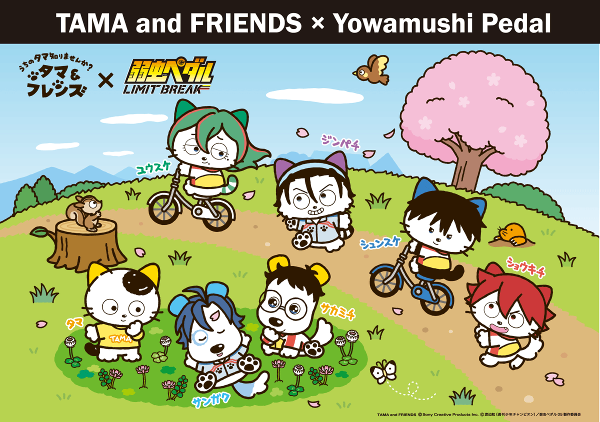 三丁目のタマ町内会 tweet media