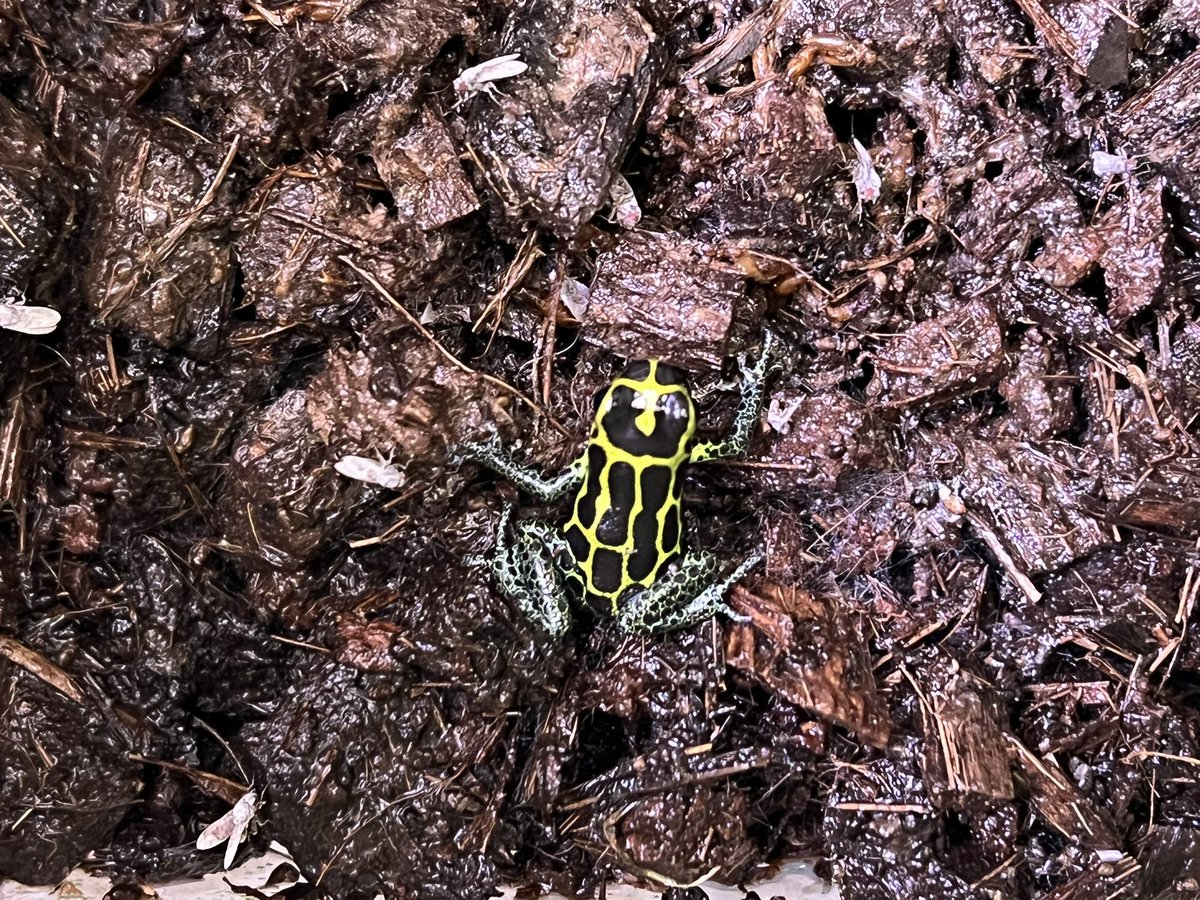 ◡̈⃝UKAMOSH◡̈⃝RANARIO tweet media