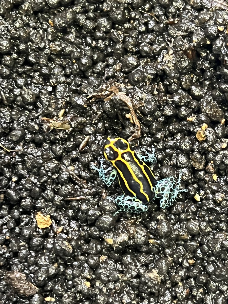 ◡̈⃝UKAMOSH◡̈⃝RANARIO tweet media