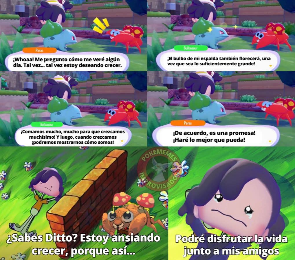 Distortion World tweet media