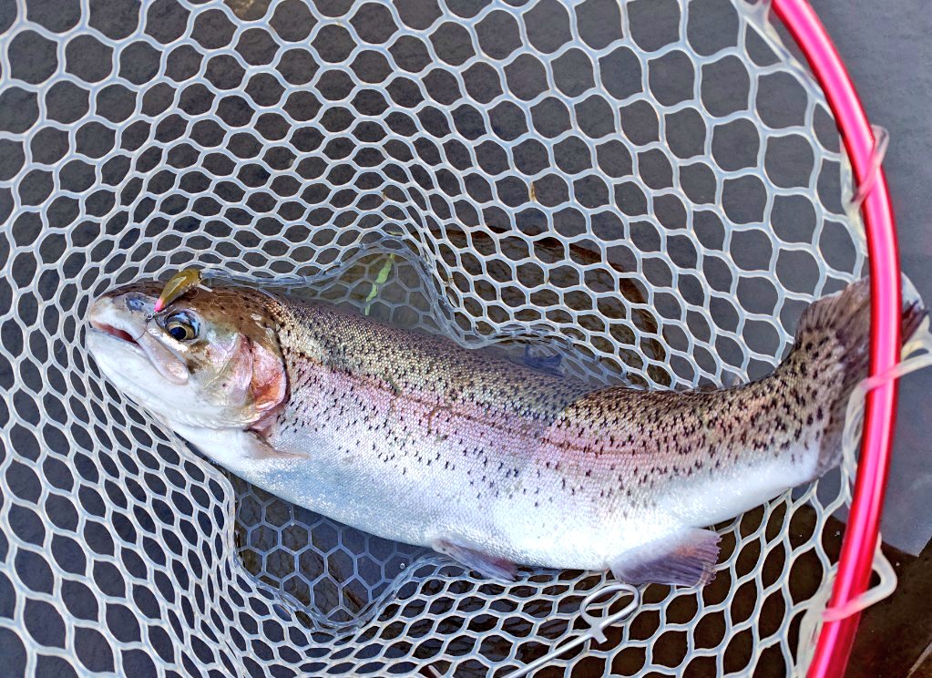 ゆかり🎣🎀 tweet media