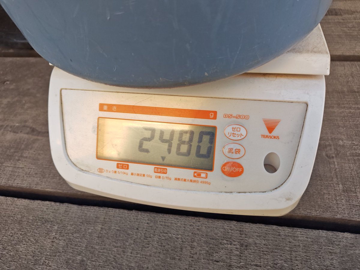 ゆかり🎣🎀 tweet media