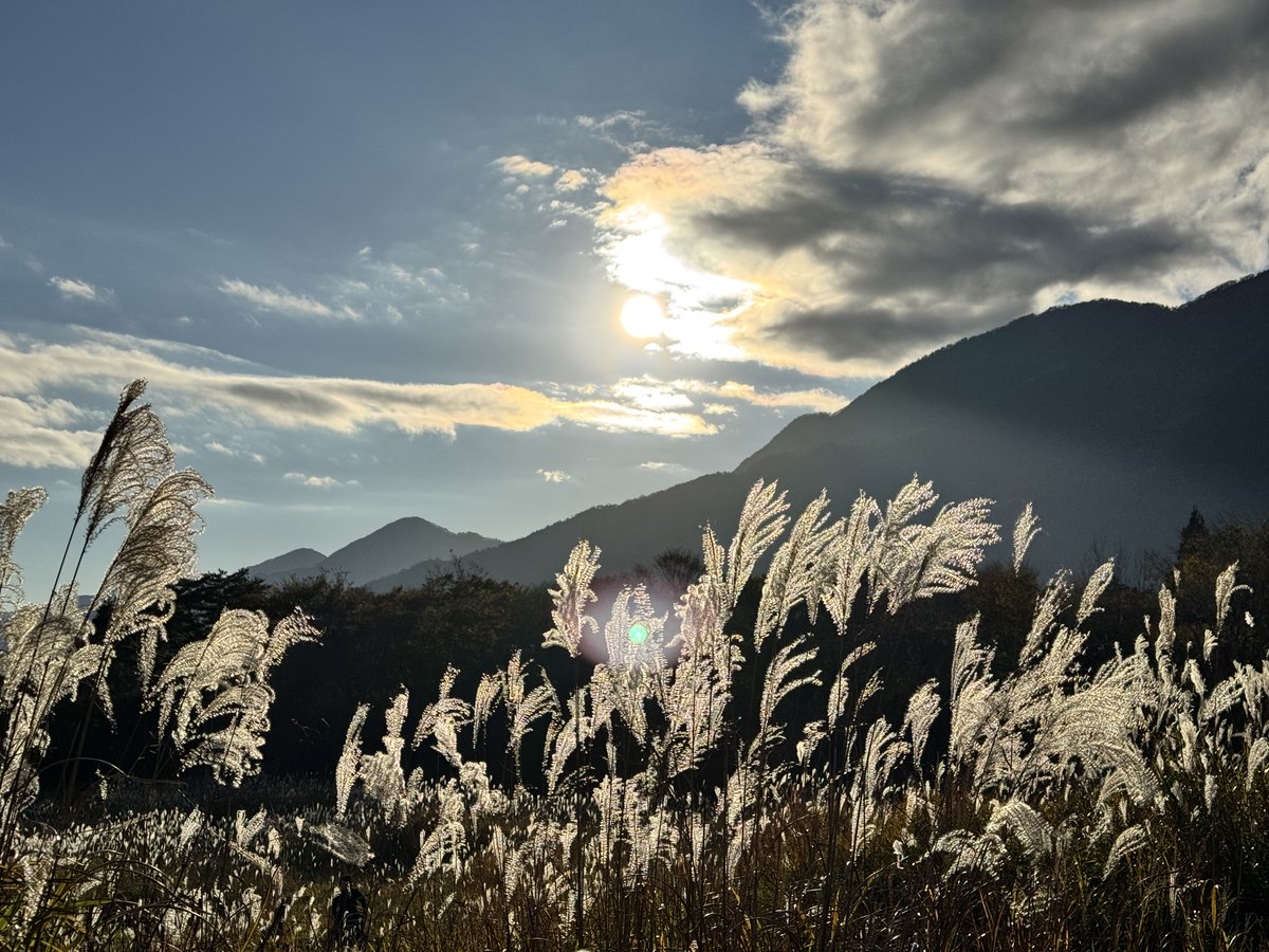 コスナビ tweet media