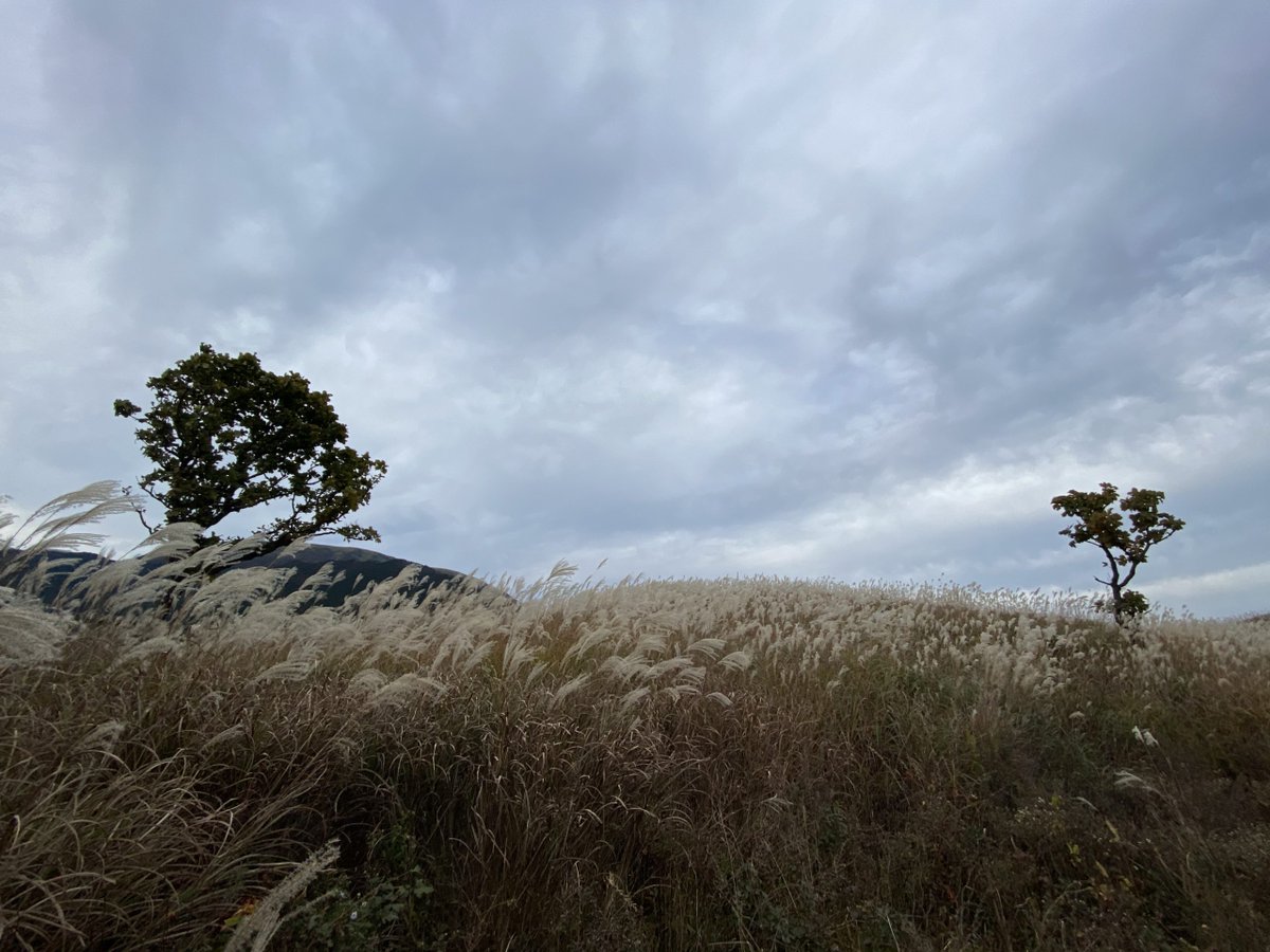 コスナビ tweet media