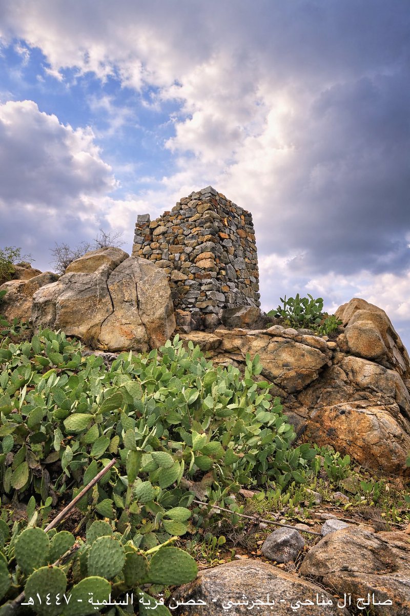 Saleh Al-Manahi tweet media