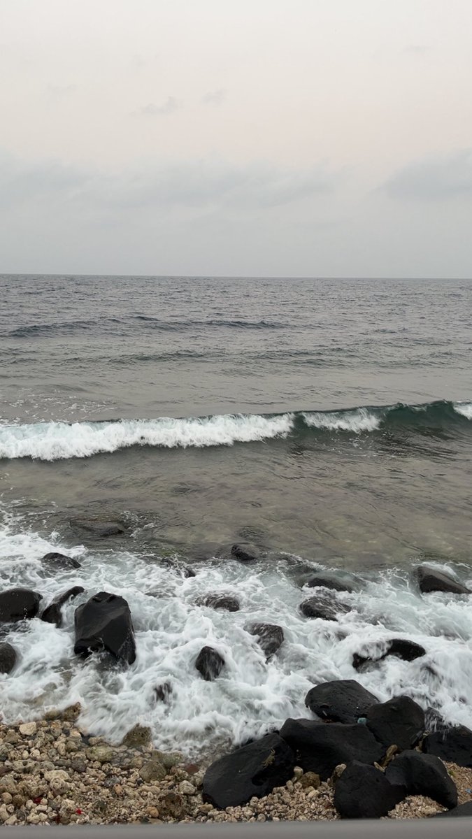 Muhannad ✨ tweet media