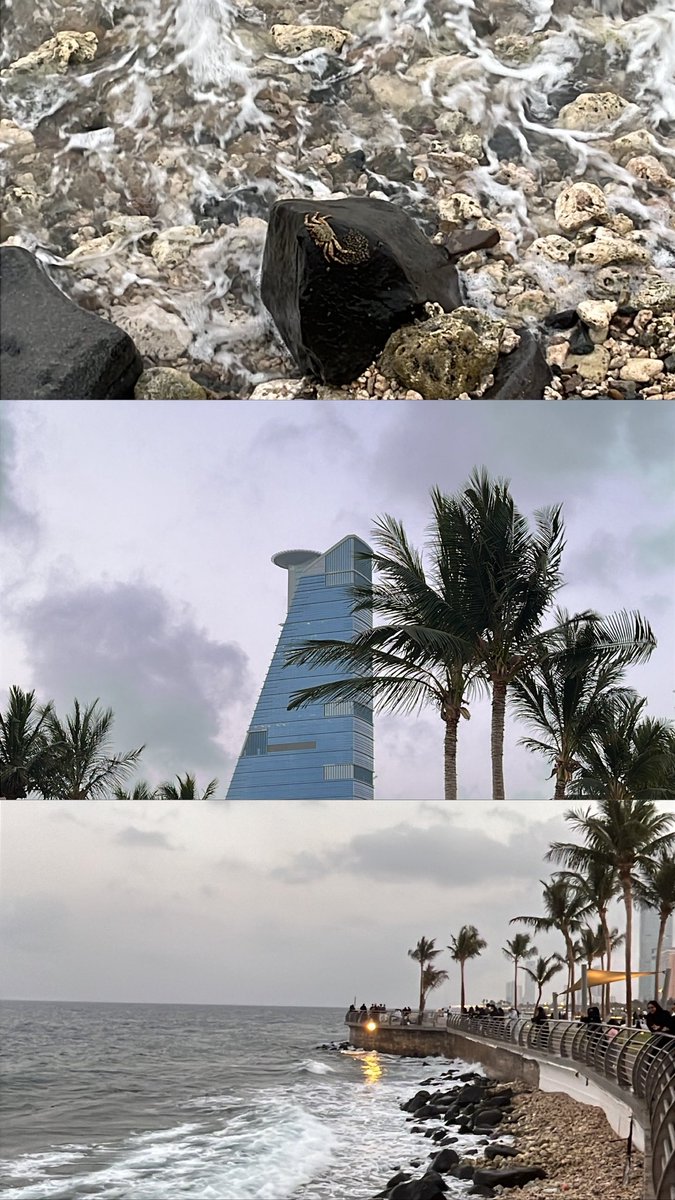 Muhannad ✨ tweet media