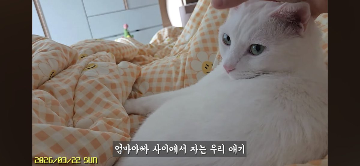 💧도보park🌌 tweet media