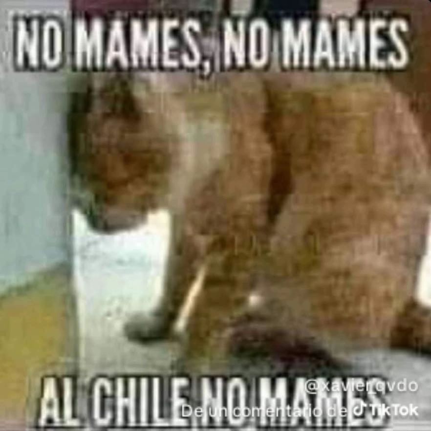 Luis Lelucho tweet media