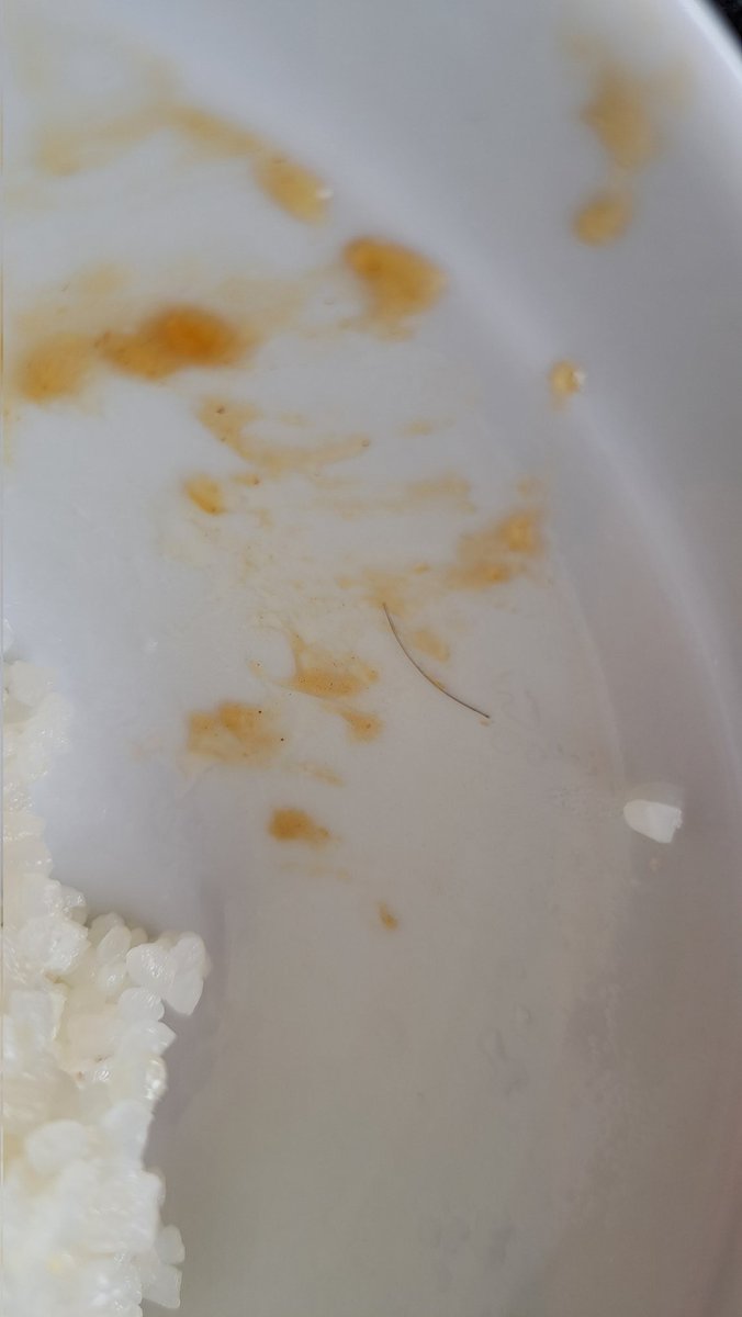 安らぎAQUAちゃんねる【YouTube】 tweet media