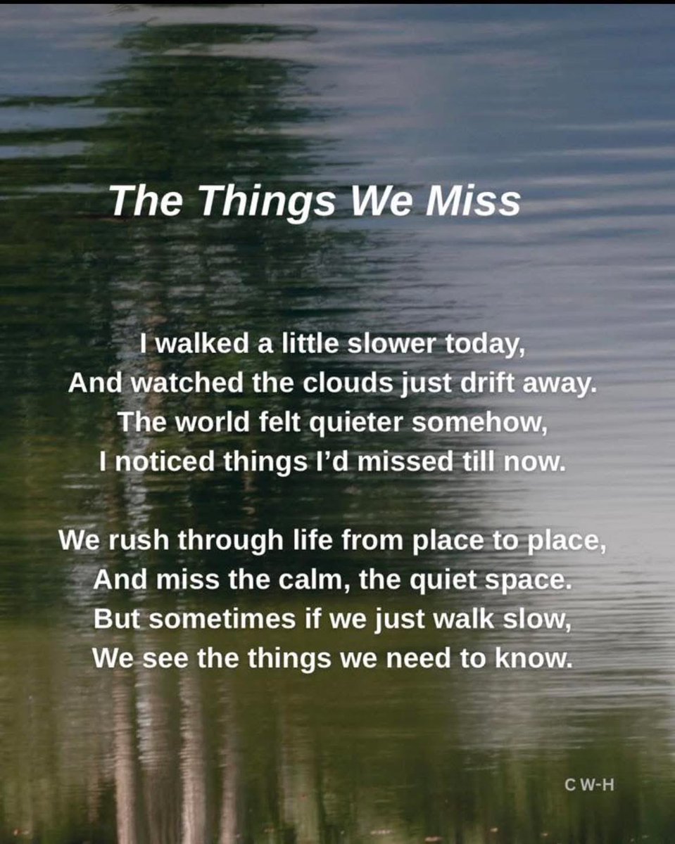 Dawn Peters 🌞 (Sunny) 🌞 tweet media