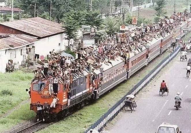 GIBOLofficial tweet media